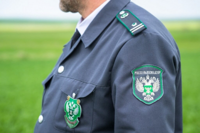 Михаил Фридман и "Фонд доверчивых