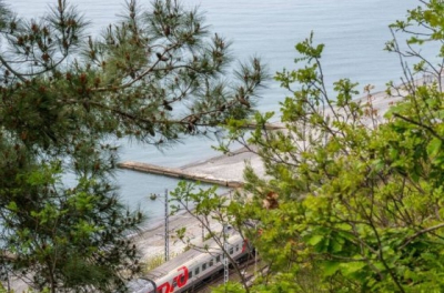 В поездах разрешили провозить летающих поссумов и сурикатов: новые правила для пассажиров