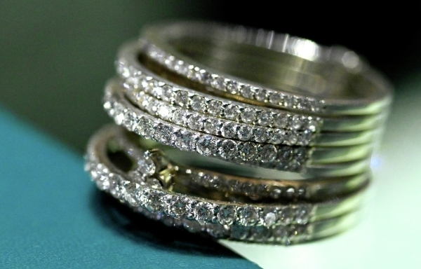 Онищенко: побег обезьян в США требует научного расследования